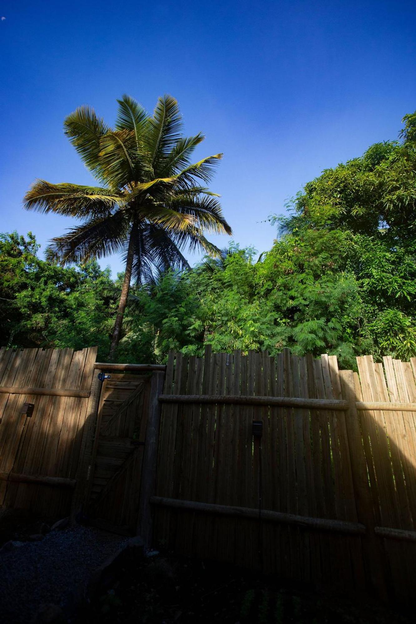 Cabana Mulungu - Viagem Inspirada Fernando de Noronha Exterior photo